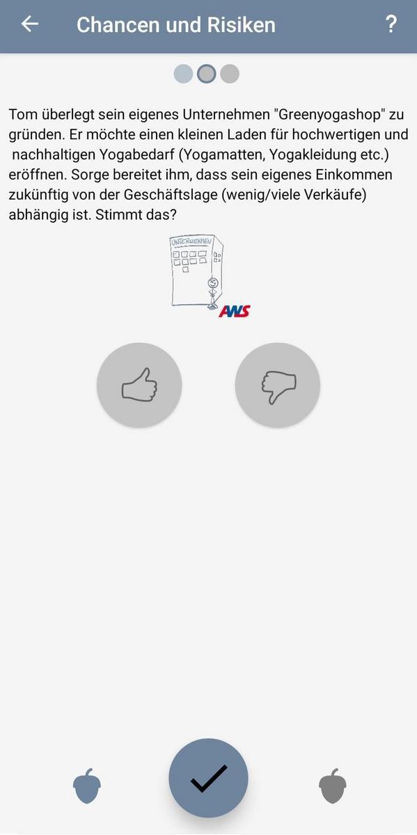 Screenshot am Beispiel einer Frage zu Chancen und Risiken