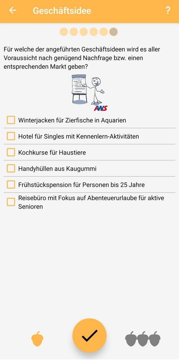 Screenshot am Beispiel einer Frage zur Geschäftsidee