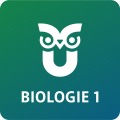 SchuBu Biologie